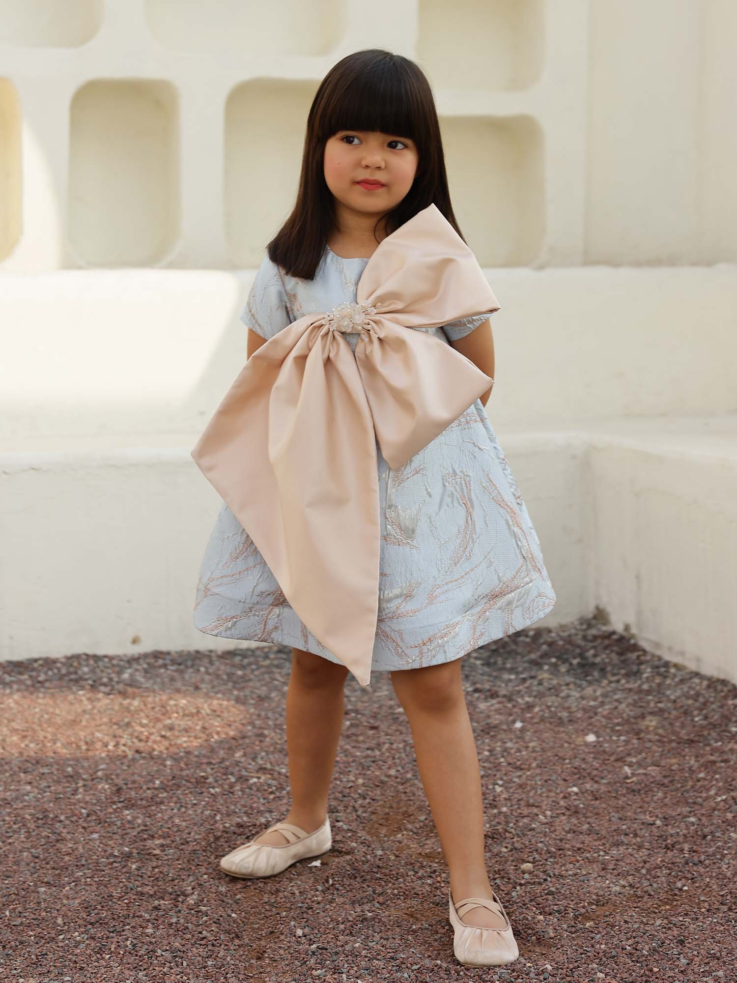 JANYAS CLSOET Cinderellas Blue Jacquard Bow Dress