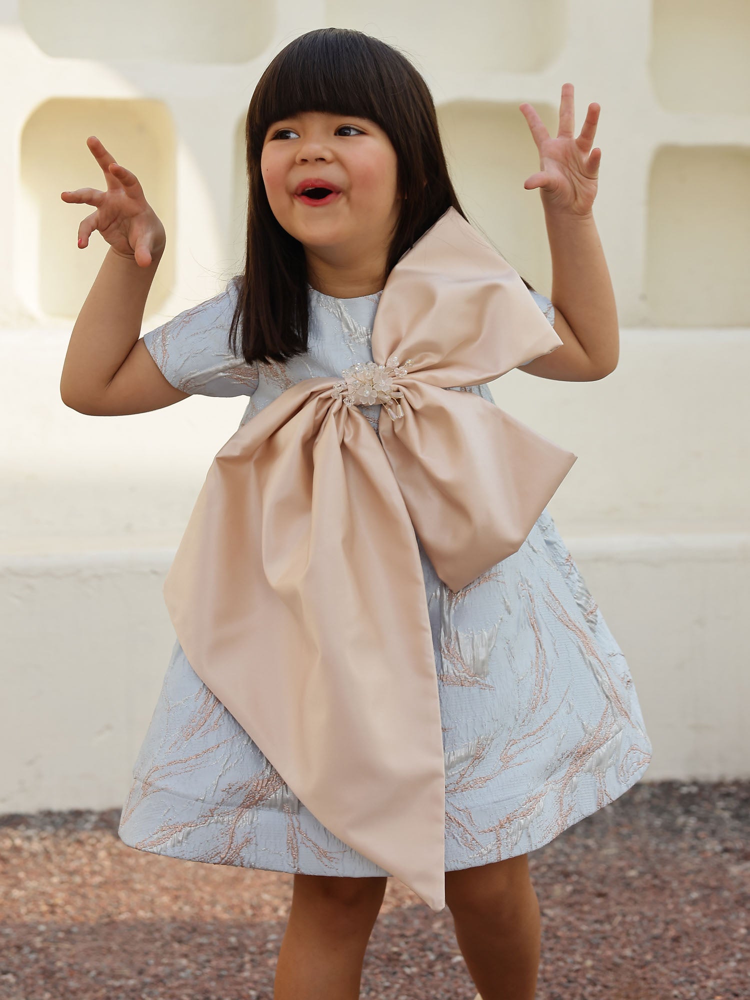 JANYAS CLSOET Cinderellas Blue Jacquard Bow Dress