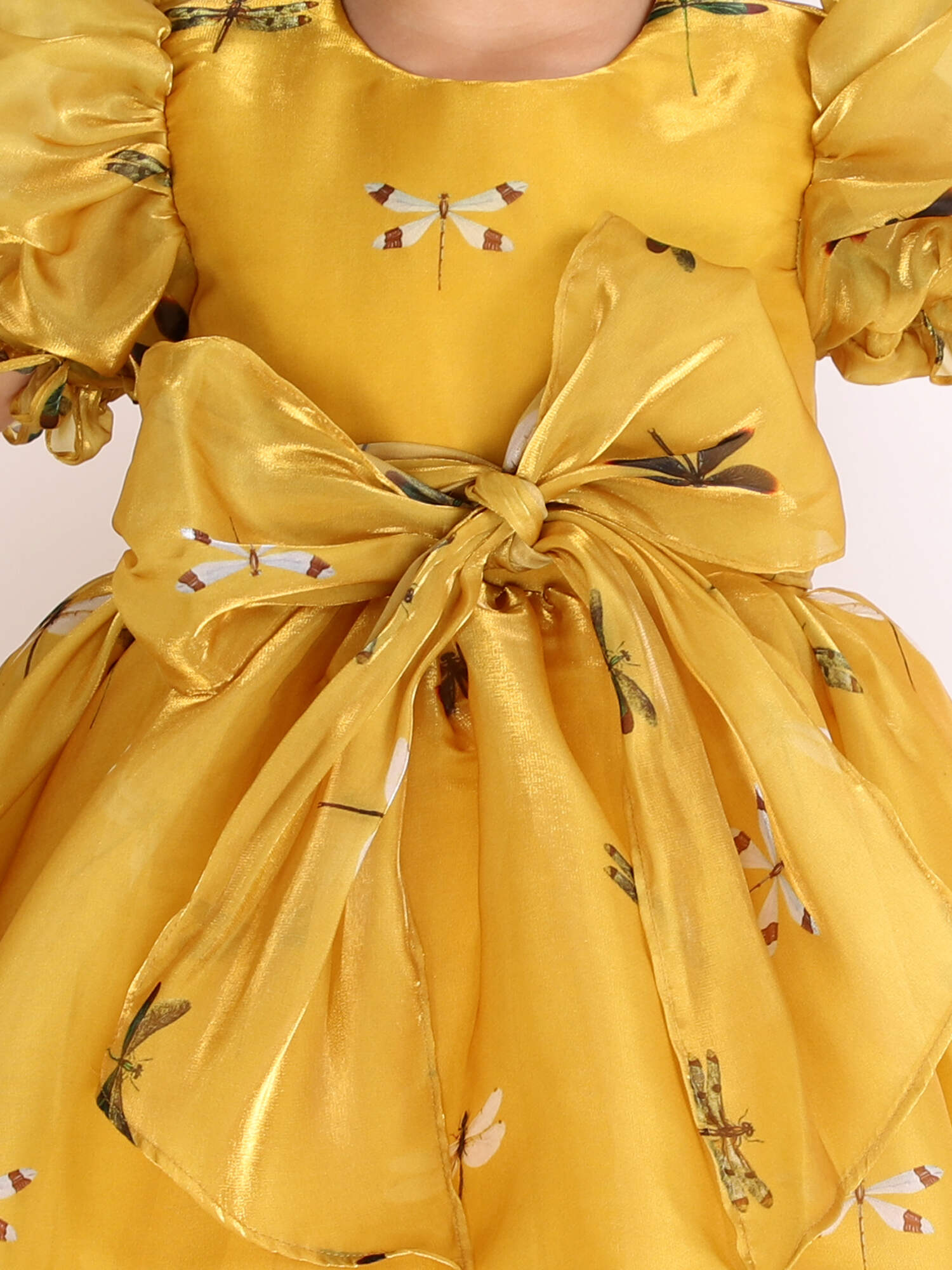 Dragon Fly Oraganza Satin Dress With Hair Pin