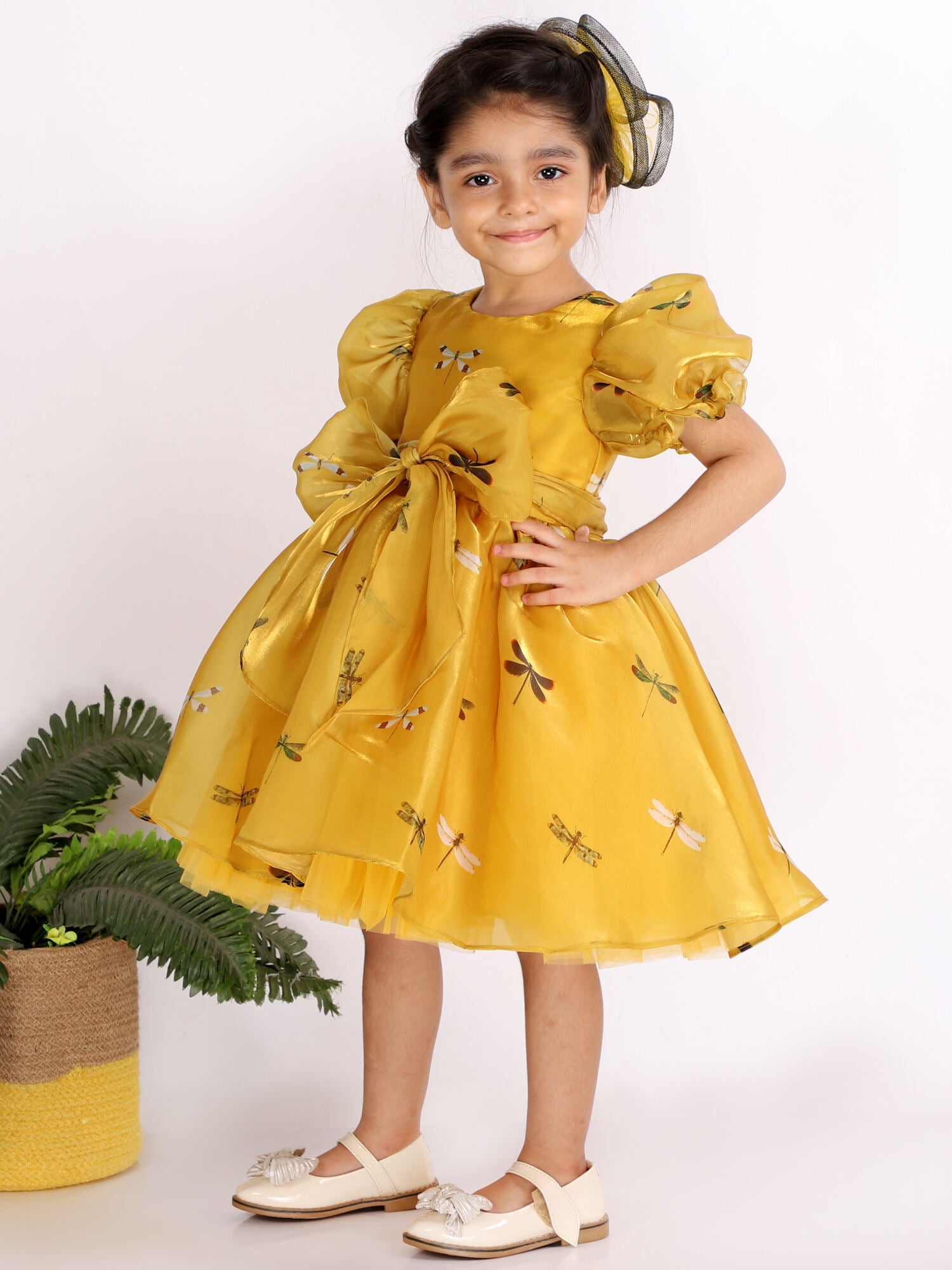 Dragon Fly Oraganza Satin Dress With Hair Pin