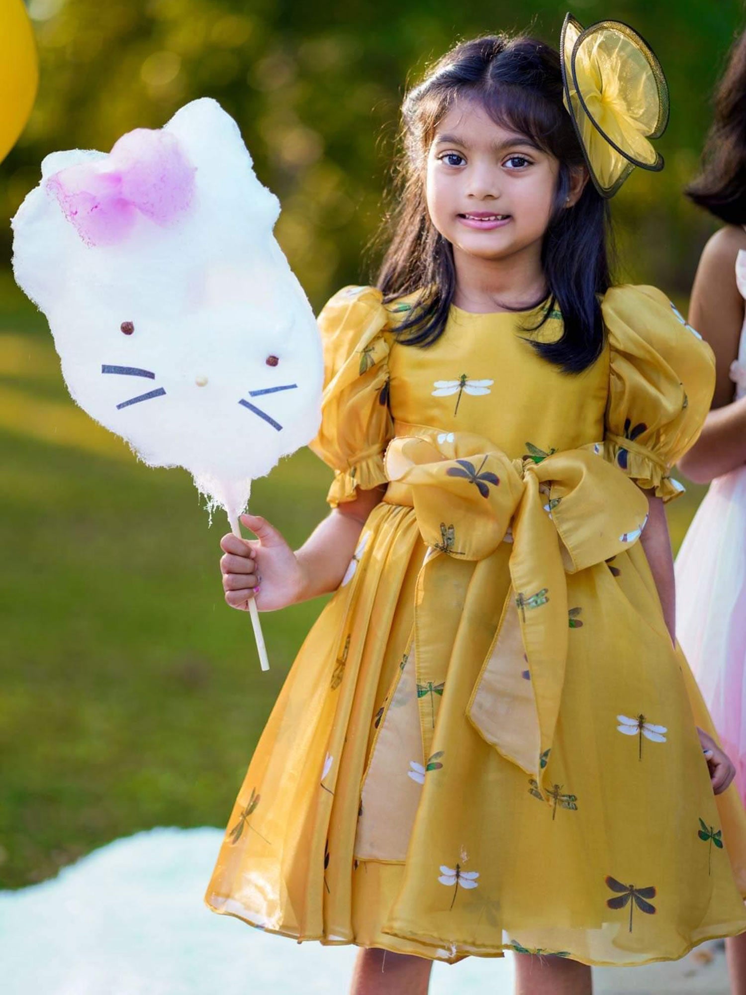 Dragon Fly Oraganza Satin Dress With Hair Pin