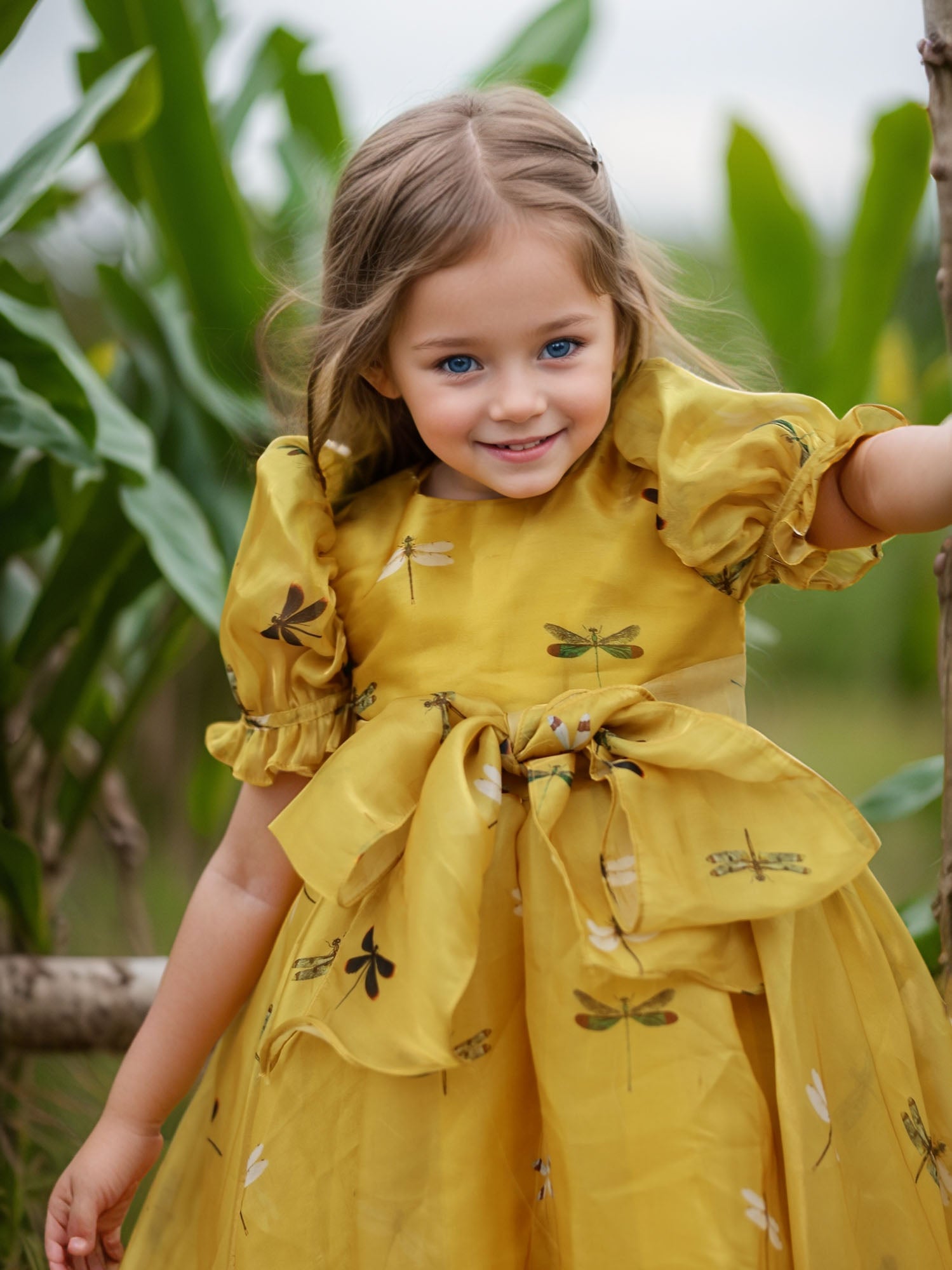 Dragon Fly Oraganza Satin Dress With Hair Pin