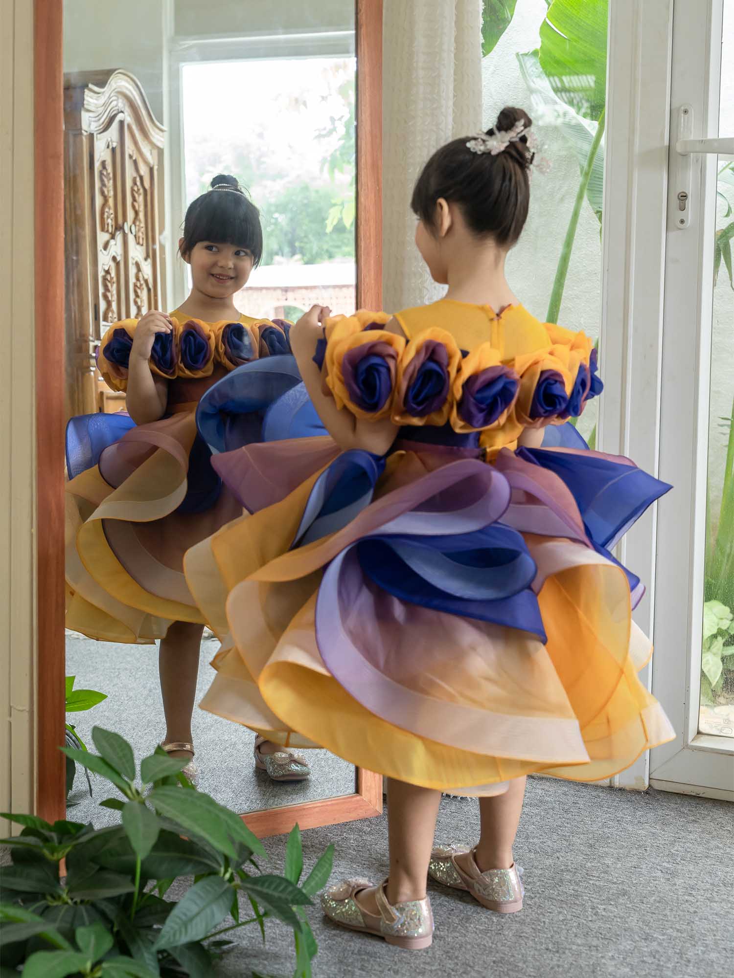 Janyas Multicolor Dress