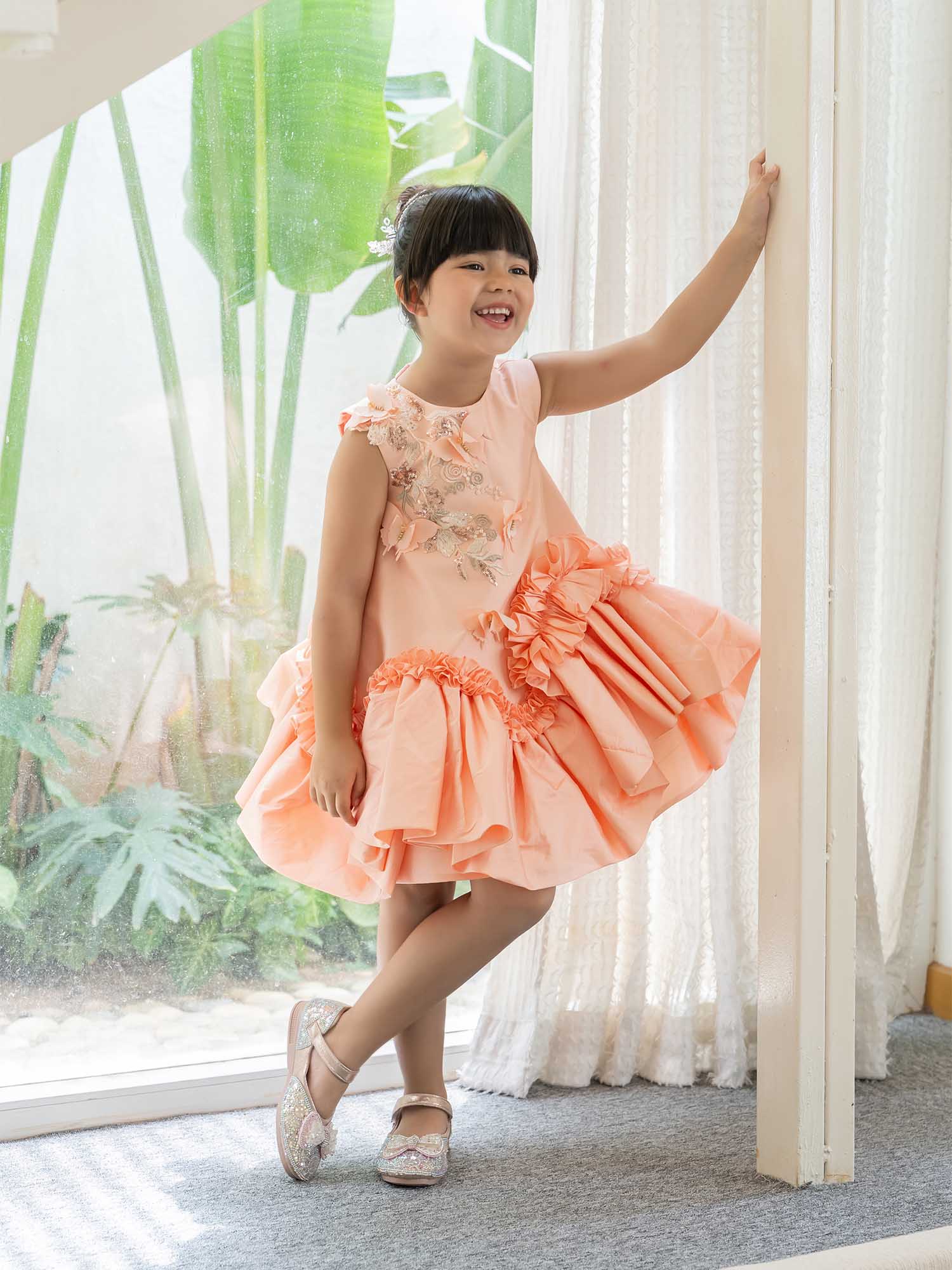 JANYAS CLOSET Butterfly Charm Peach Taffeta Dress