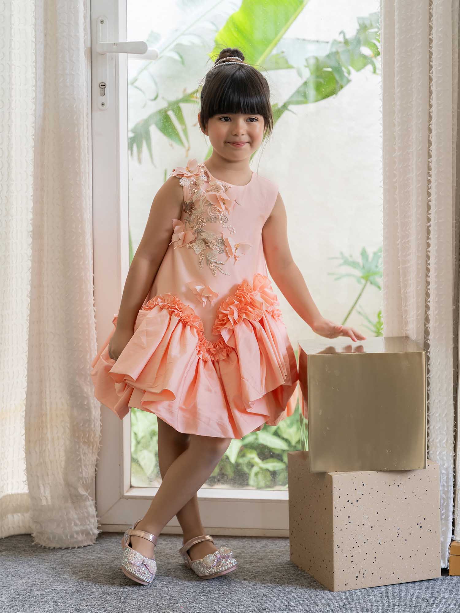 JANYAS CLOSET Butterfly Charm Peach Taffeta Dress