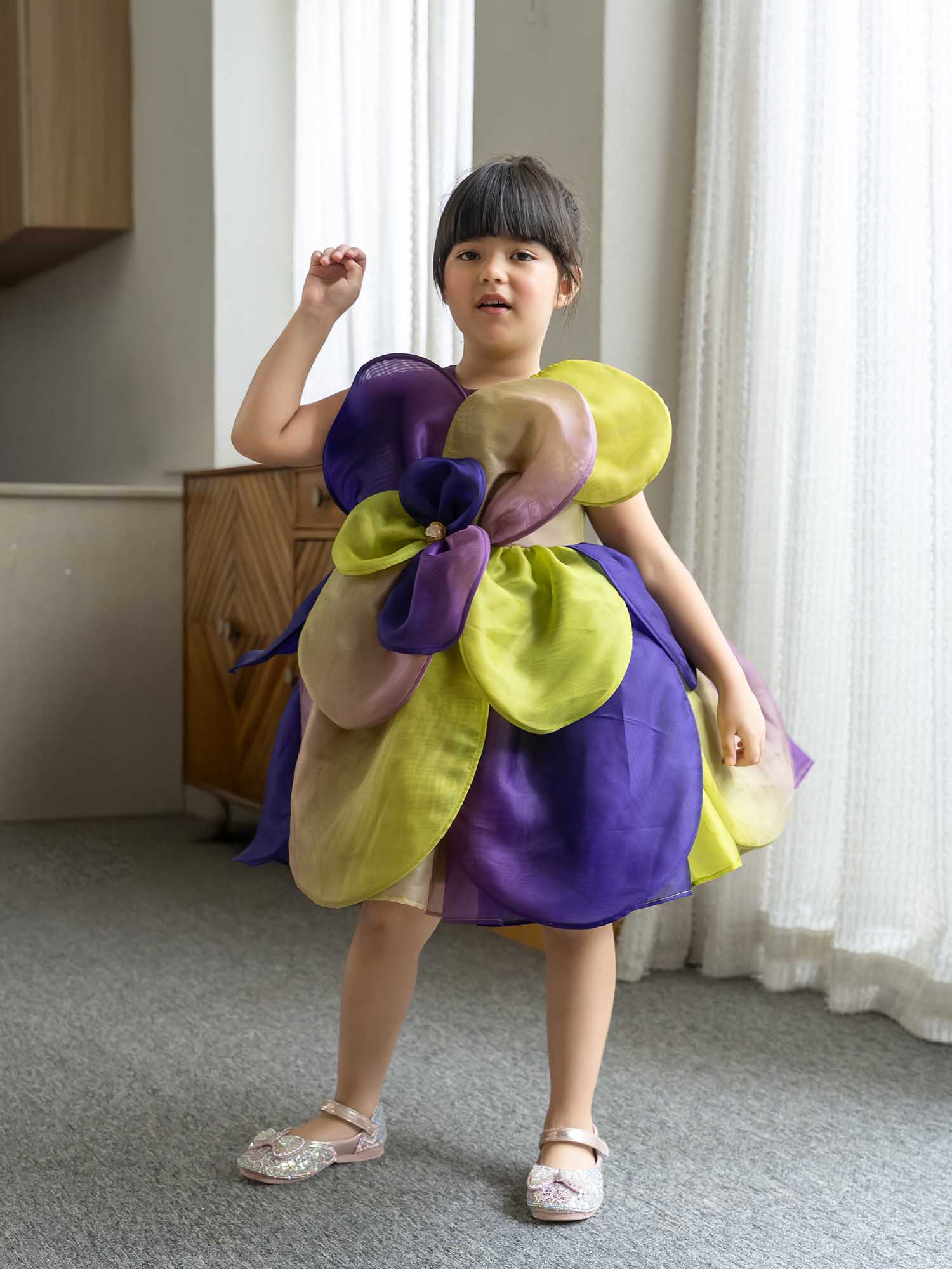 JANYAS CLOSET Multicolor 3D Petal Bloom Organza Dress