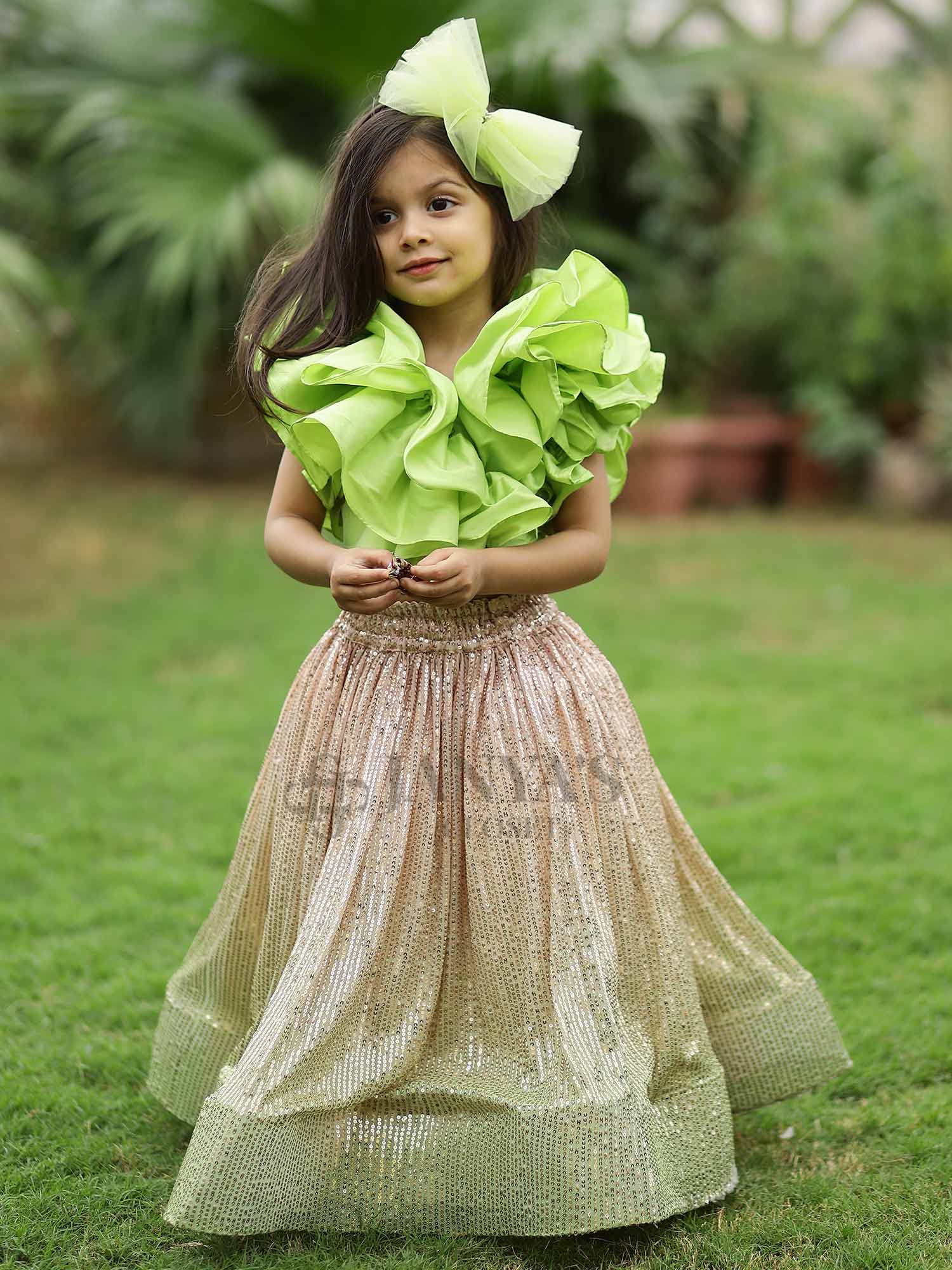 Sample Shaded Glitter Lehnga (Only Skirt)